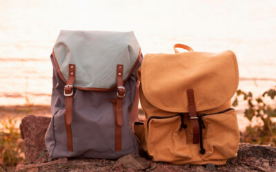 Best Backpack Brands in India